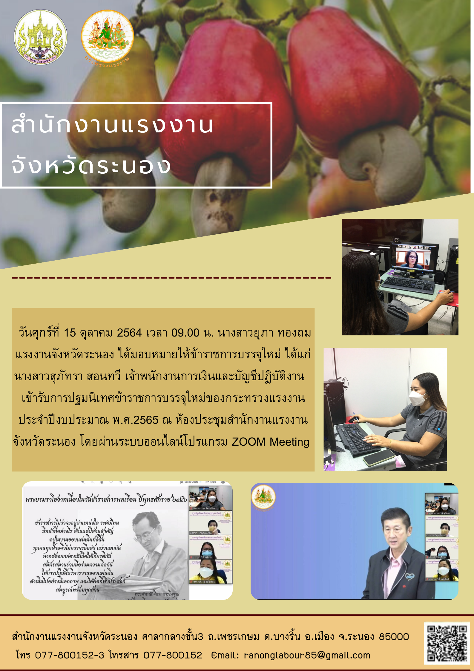 Mol-Thailand